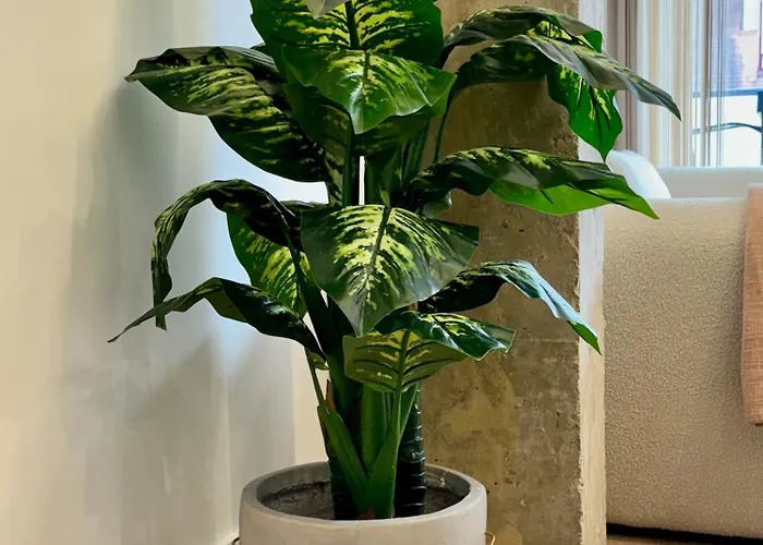 La Terraza De Quintana *